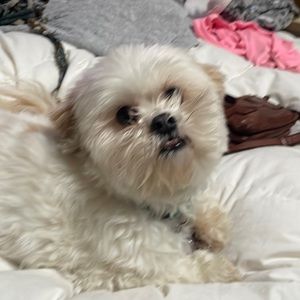 We are starting a new sale sight- and trying it out with this first listing